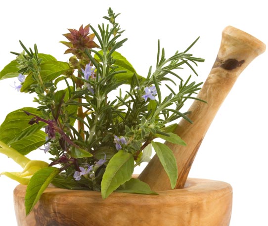 NATURALDEA C.B. tratamientos naturales