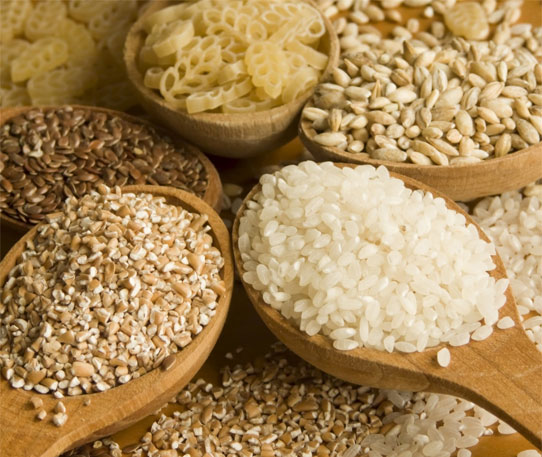 NATURALDEA C.B. semillas